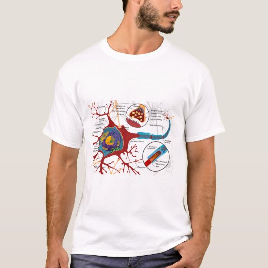 Diagram Complete Neuron Cell Nerve Nervous System  T-Shirt (Vorderseite)