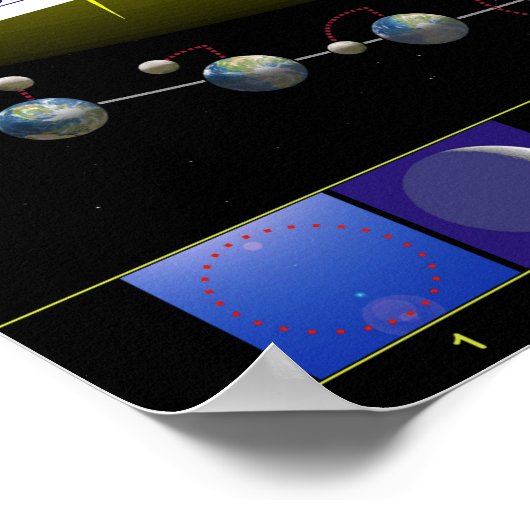 Diagram of the Lunar Phases of Earth's Moon Poster (Ecke)