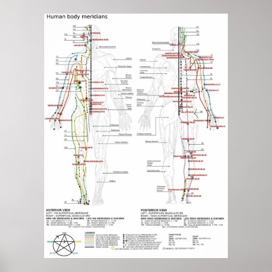 Diagram Schematic Chinese Meridians Human Body Poster (Vorne)