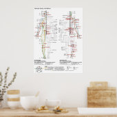 Diagram Schematic Chinese Meridians Human Body Poster (Küche)