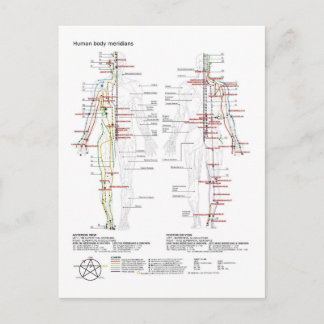  Diagram Schematic Chinese Meridians Human Body  Postkarte