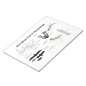 Diagramm der Anatomie der Vogelflüge Notizblock (angewinkelt)