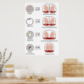 Diagramm der biologischen Positionierung des Mensc Poster (Küche)