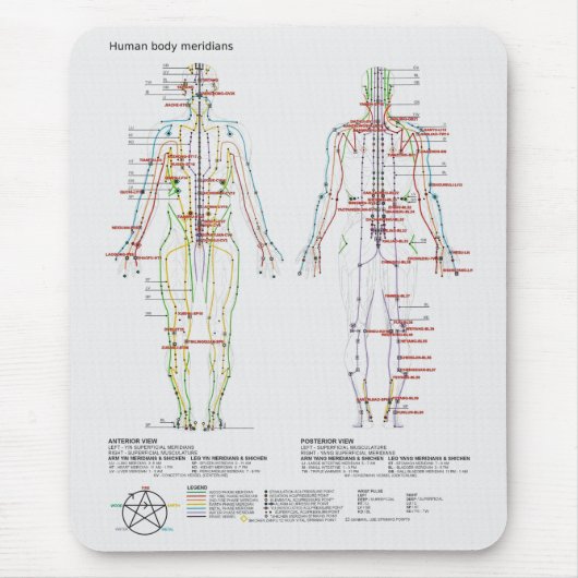 Diagramm der chinesischer oder menschlicher mousepad (Vorne)