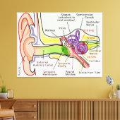 Diagramm der Cochlear-Frequenz des menschlichen Oh Leinwanddruck (Insitu (Wohnzimmer))