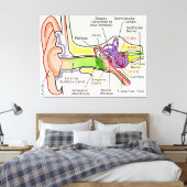Diagramm der Cochlear-Frequenz des menschlichen Oh Leinwanddruck (Insitu (Schlafzimmer))
