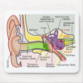 Diagramm der Cochlear-Frequenz des menschlichen Oh Mousepad (Vorne)