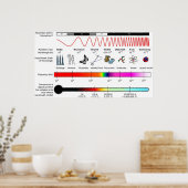 Diagramm der elektromagnetischen Frequenzeigenscha Poster (Küche)