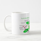 Diagramm der Fotosynthese-C4 Kaffeetasse (Links)