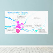 Diagramm der Gentranskriptionsfaktoren Leinwanddruck (Insitu (Holzboden))