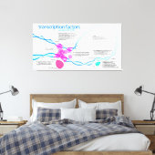 Diagramm der Gentranskriptionsfaktoren Leinwanddruck (Insitu (Schlafzimmer))