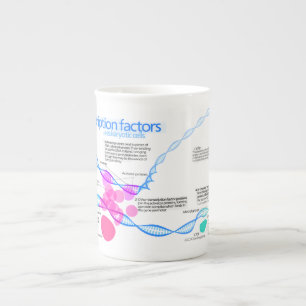 Diagramm der Gentranskriptionsfaktoren Porzellantasse