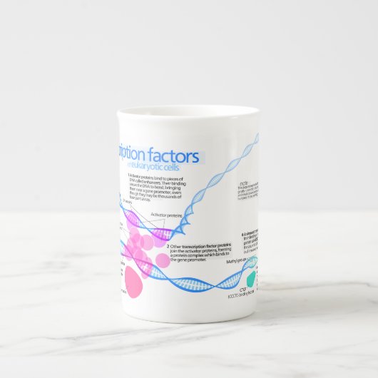 Diagramm der Gentranskriptionsfaktoren Porzellantasse (Vorderseite)