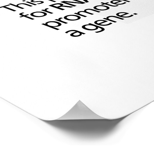 Diagramm der Gentranskriptionsfaktoren Poster (Ecke)