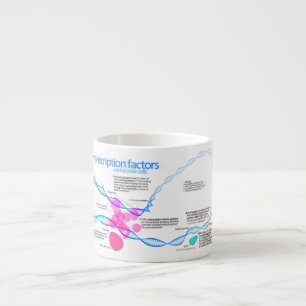 Diagramm der Genübertragungsfaktoren Espressotasse