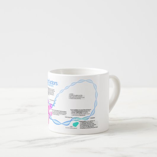 Diagramm der Genübertragungsfaktoren Espressotasse (Vorderseite Rechts)