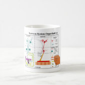 Diagramm der grundlegenden Nervensystem-Funktionen Kaffeetasse (Mittel)