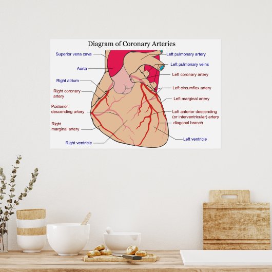 Diagramm der koronaren Arterien eines menschlichen Poster (Küche)
