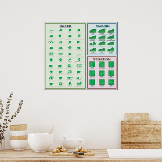 Diagramm der Leaf-Morphologie Gestaltungsmarge Poster (Küche)