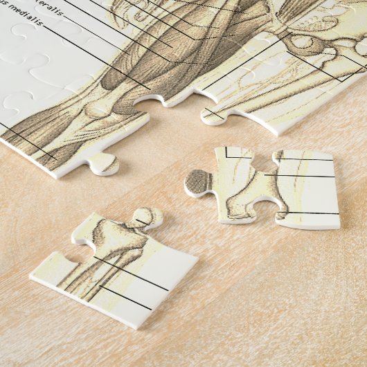 Diagramm der menschlichen Anatomie mit Labels Puzzle (Seite)