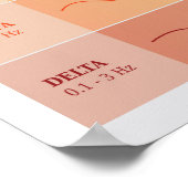 Diagramm der menschlichen Gehirnwellen - Rainbow C Poster (Ecke)