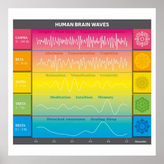 Diagramm der menschlichen Gehirnwellen - Regenboge Poster (Vorne)