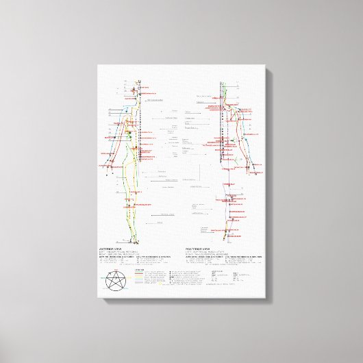 Diagramm der menschlichen Meridianer Leinwanddruck (Vorderseite)