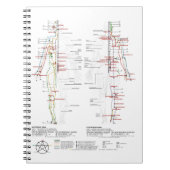 Diagramm der menschlichen Meridianer Notizblock (Vorderseite)