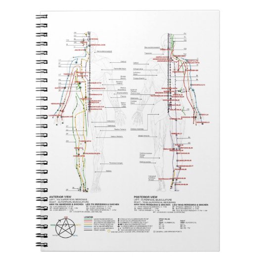 Diagramm der menschlichen Meridianer Notizblock (Vorderseite)