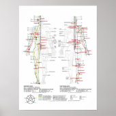 Diagramm der menschlichen Meridianer Poster (Vorne)