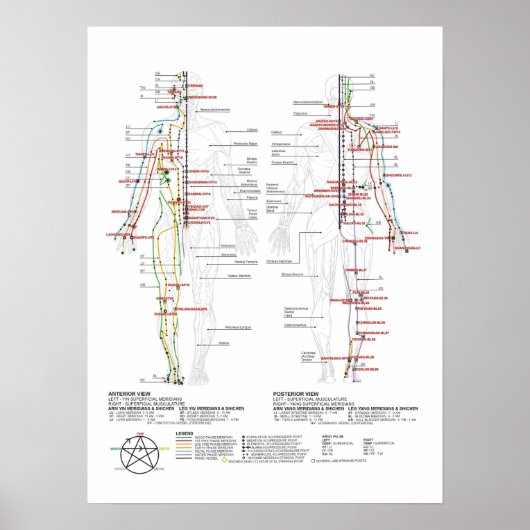 Diagramm der menschlichen Meridianer Poster (Vorne)
