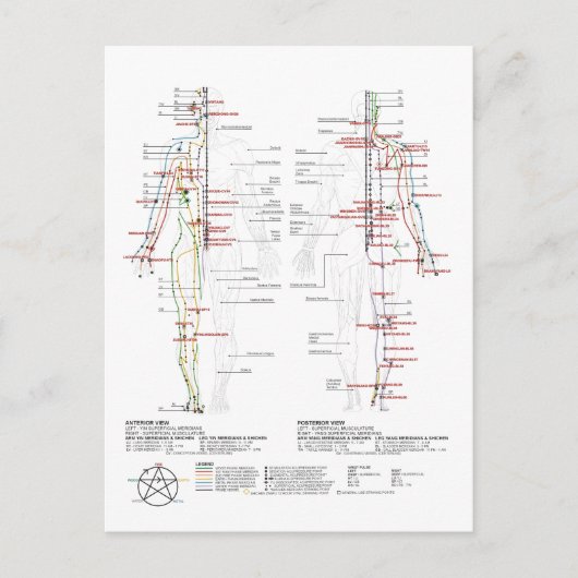Diagramm der menschlichen Meridianer Postkarte (Vorderseite)