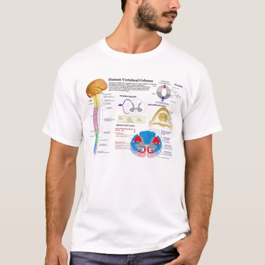 Diagramm der menschlichen vertebralen Spalte T-Shirt (Vorderseite)