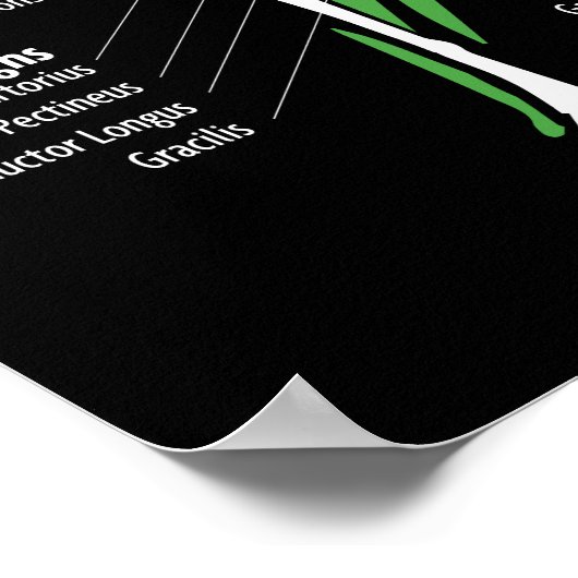 Diagramm der Muskelanatomie - Gymnastik Workout-Bo Poster (Ecke)