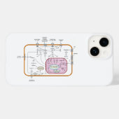 Diagramm der Signalwege von Zellen Case-Mate iPhone Hülle (Rückseite (Horizontal))