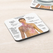 Diagramm der Symptome der Pneumonie Getränkeuntersetzer (Linke Seite)