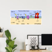 Diagramm der Thylakoid-Membran der Chloroplasten Poster (Heimbüro)