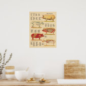 Diagramm der tierärztlichen Anatomie Poster (Küche)