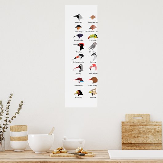 Diagramm der verschiedenen Vogelscheuchen-Anpassun Poster (Küche)