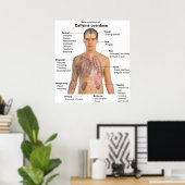 Diagramm der wichtigsten Symptome einer Koffeinübe Poster (Heimbüro)