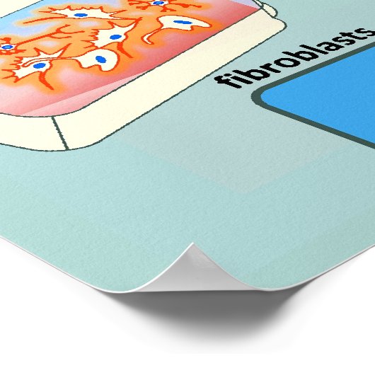 Diagramm der Zelldifferenzierungsmethoden Poster (Ecke)