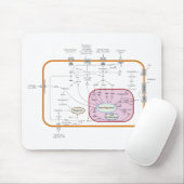 Diagramm der Zellsignalübertragung Mousepad (Mit Mouse)