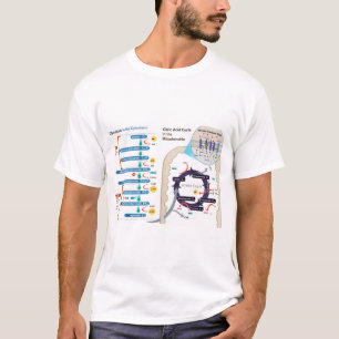 Diagramm der zellulären Atmung Glykolyse T-Shirt