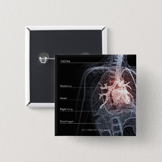Diagramm des Atmungssystems und des Herzens Button (Vorne & Hinten)
