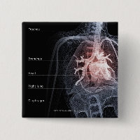 Diagramm des Atmungssystems und des Herzens