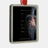 Diagramm des Atmungssystems und des Herzens Silbernes Ornament (Rechts)