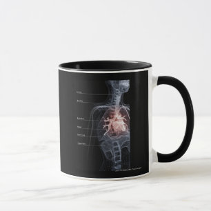 Diagramm des Atmungssystems und des Herzens Tasse