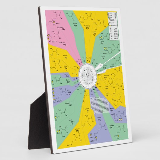 Diagramm des genetischen Codes mit Aminosäurerücks Fotoplatte (Seite)