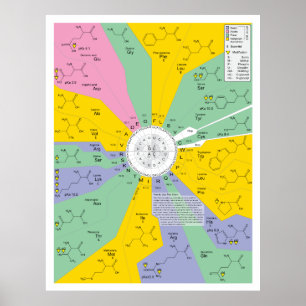 Diagramm des genetischen Codes mit Aminosäurerücks Poster