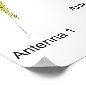 Diagramm des Körperplans eines Amphipods Poster (Ecke)